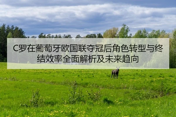 luo-zai-pu-tao-ya-ou-guo-lian-duo-guan-hou-jue-se-zhuan-xing-yu-zhong-jie-xiao-lv-quan-mian-jie-xi-ji-wei-lai-qu-xiang-2-592.jpg
